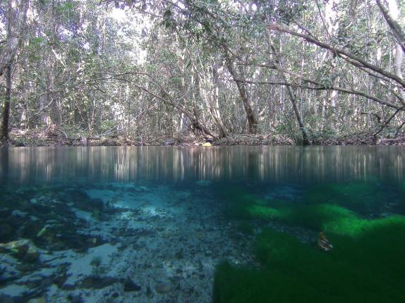 O belo Rio Triste, em Bom Jardim, em Mato Grosso, abaixo e acima da água